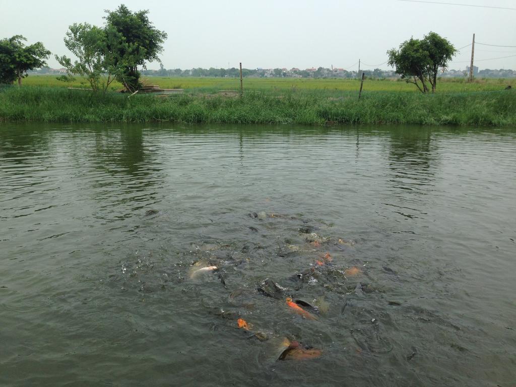 Tam Coc Homestay نينه بينه المظهر الخارجي الصورة