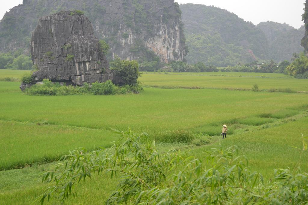 Tam Coc Homestay نينه بينه المظهر الخارجي الصورة