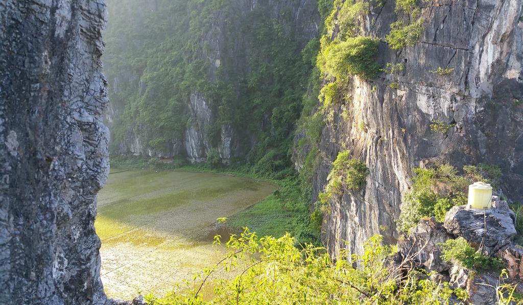 Tam Coc Homestay نينه بينه المظهر الخارجي الصورة
