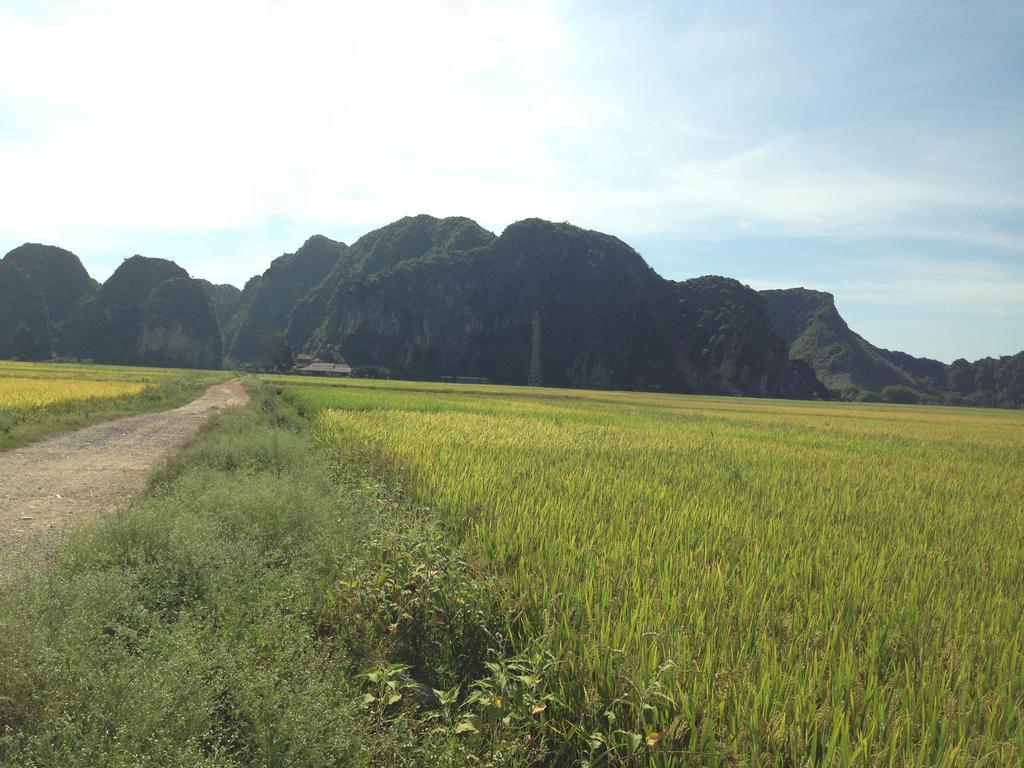 Tam Coc Homestay نينه بينه المظهر الخارجي الصورة